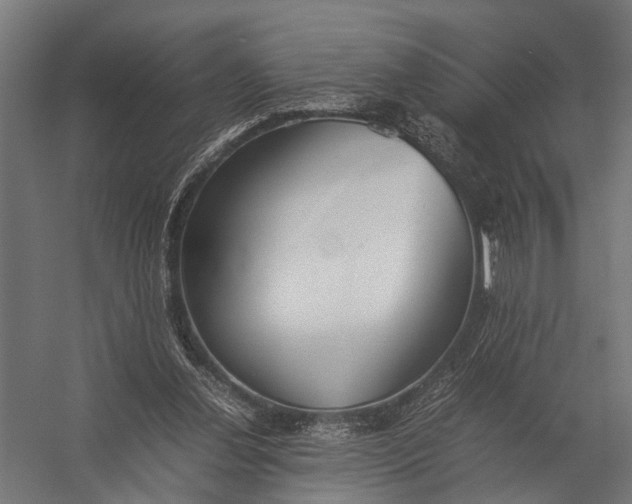 X0000052970252200507300145