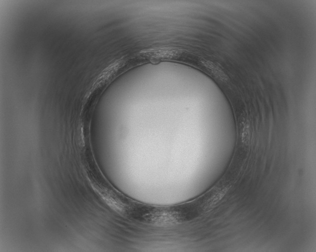 X0000052970254200507300145