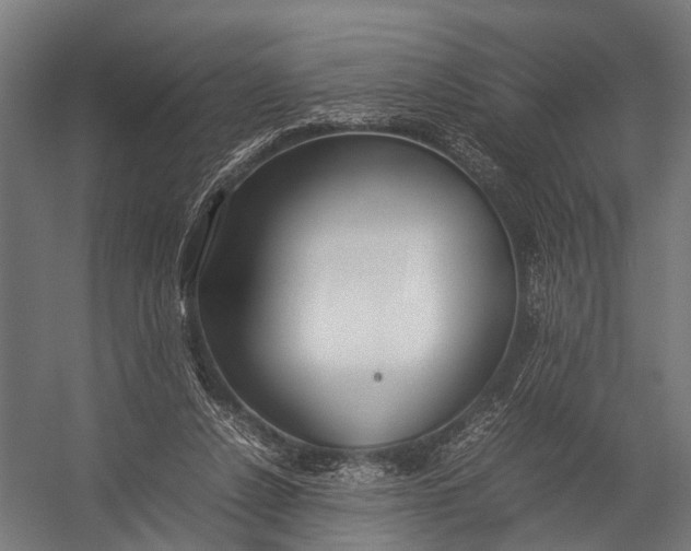 X0000052970256200507300145