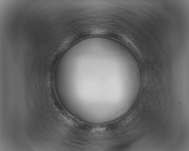 X0000052970257200507300145