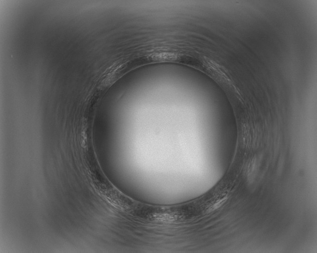 X0000052970259200507300145