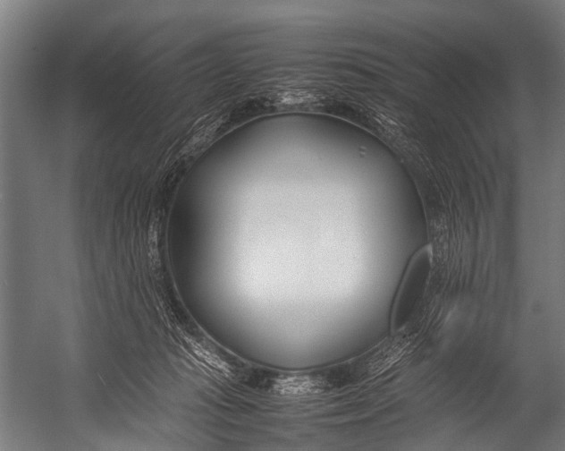 X0000052970269200507300145