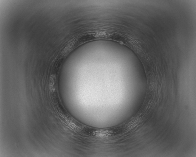 X0000052970273200507300145