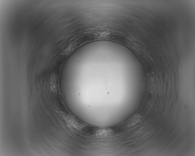 X0000052970274200507300145