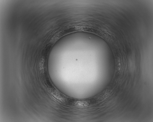 X0000052970275200507300145