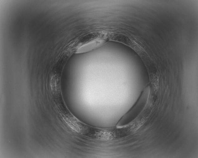 X0000052970276200507300145