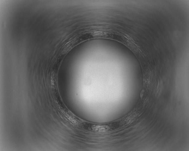 X0000052970277200507300145