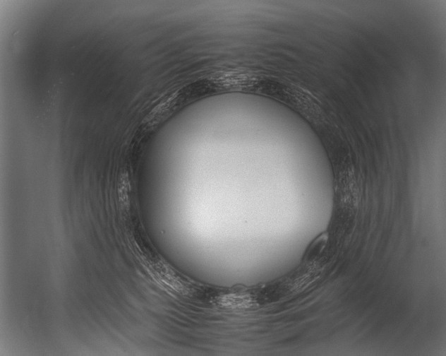 X0000052970279200507300145