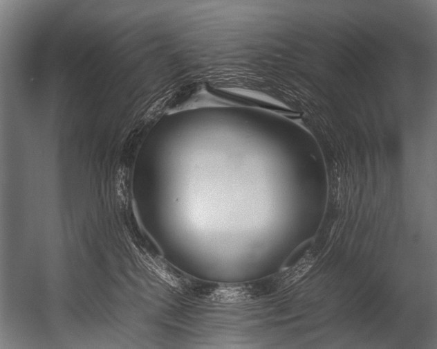 X0000052970280200507300145