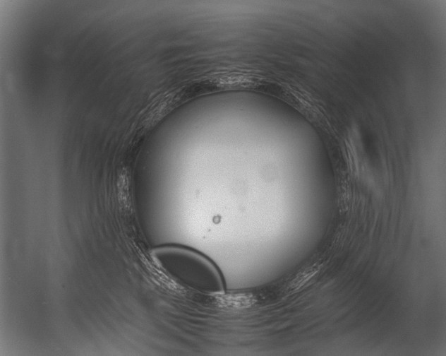 X0000052970281200507300145