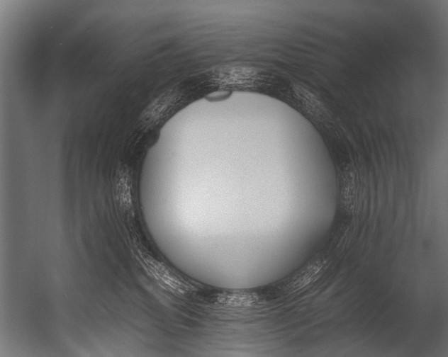 X0000052970282200507300145