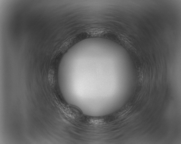 X0000052970283200507300145