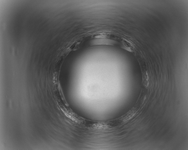 X0000052970284200507300145