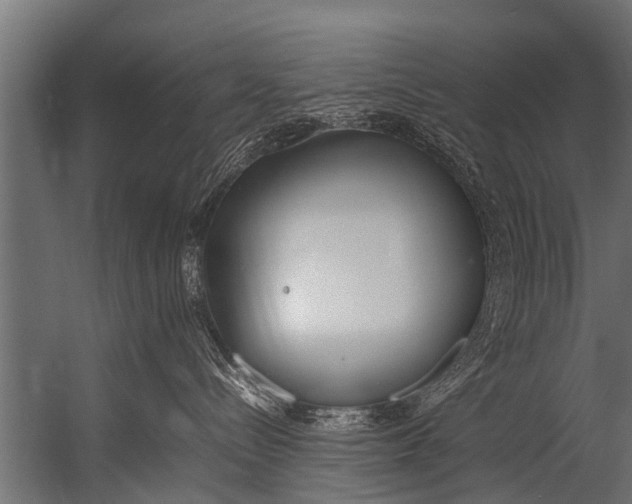 X0000052970288200507300145