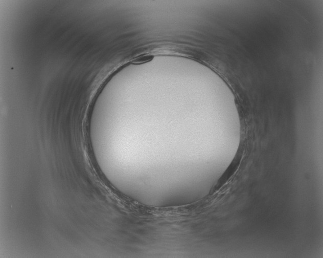 X0000052970289200507300145