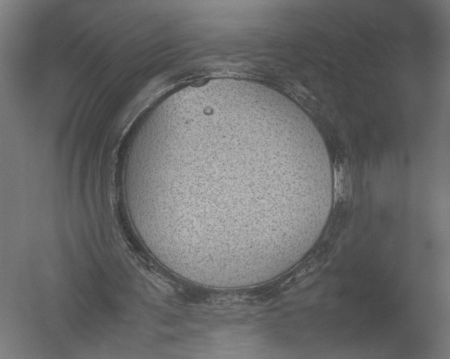 X0000052970291200507300145