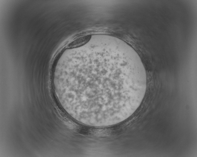 X0000052970293200507300144