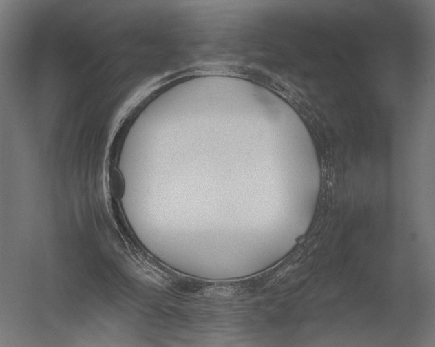 X0000052970294200507300144