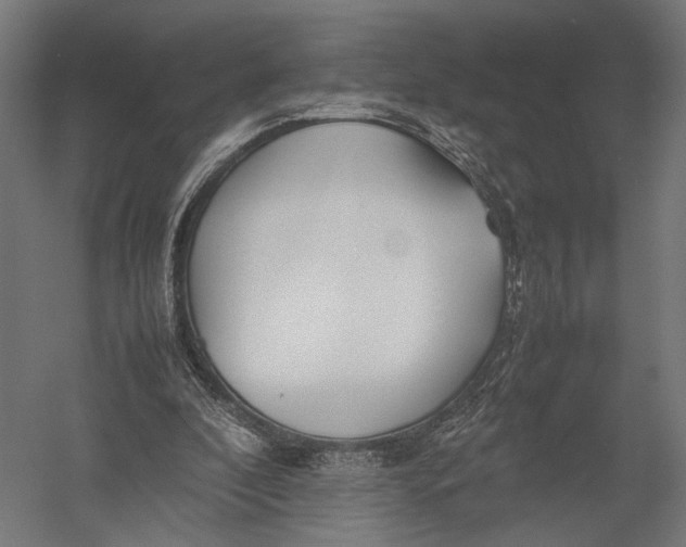 X0000052970296200507300144