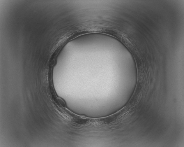 X0000052970299200507300144