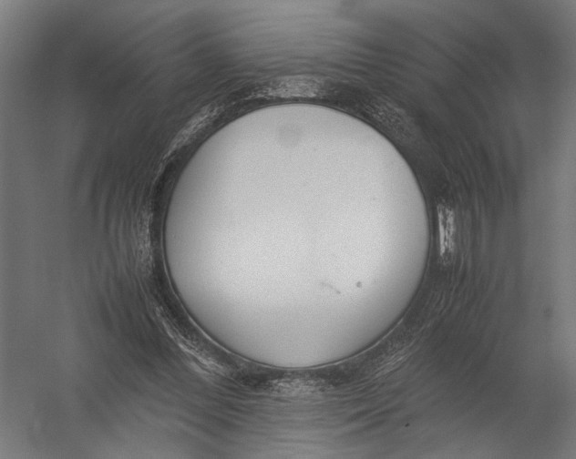 X0000052970300200507300144