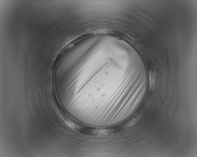 X0000052970301200507300144