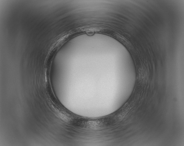 X0000052970302200507300144