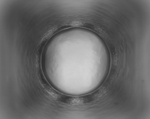 X0000052970303200507300144