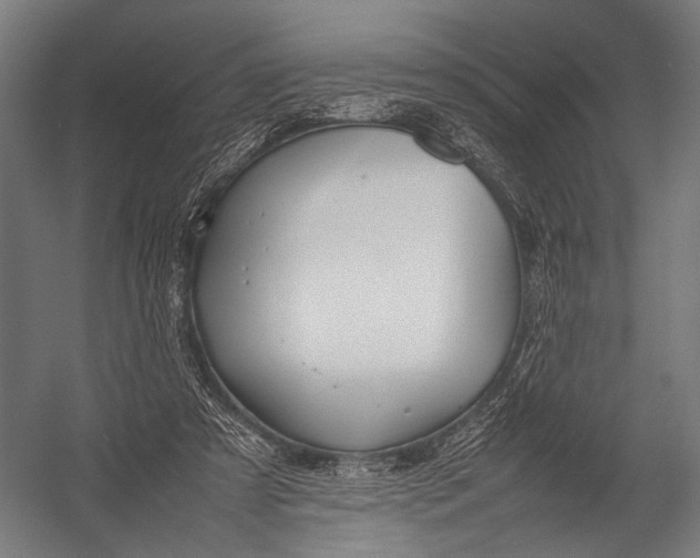 X0000052970305200507300144