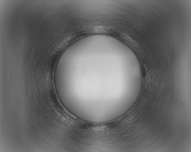 X0000052970306200507300144