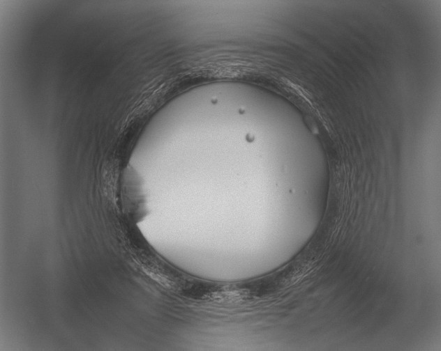 X0000052970307200507300144