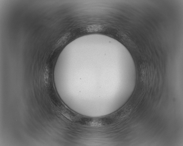 X0000052970308200507300144