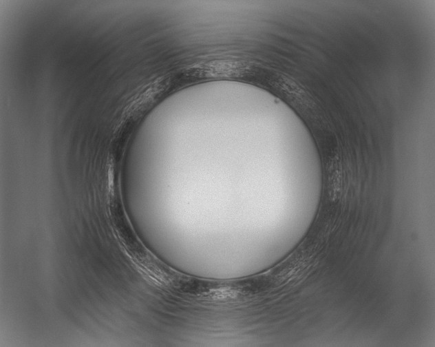 X0000052970310200507300144