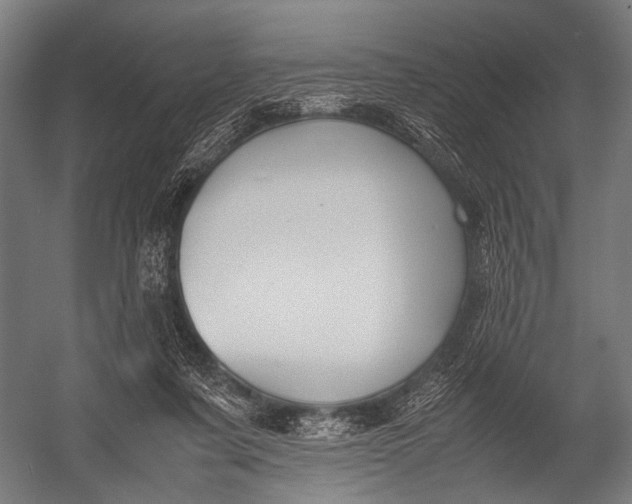 X0000052970311200507300144