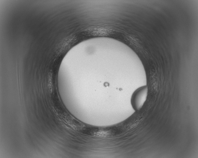 X0000052970312200507300144