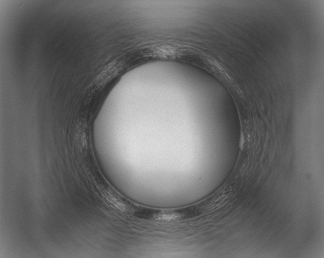 X0000052970313200507300144