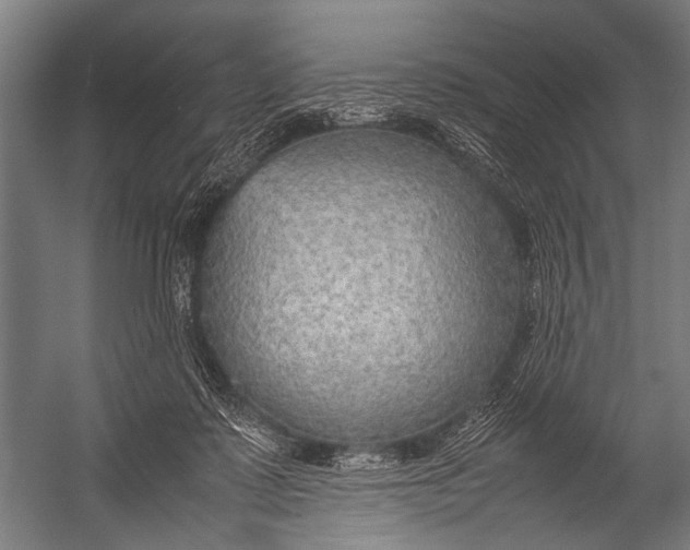 X0000052970315200507300144