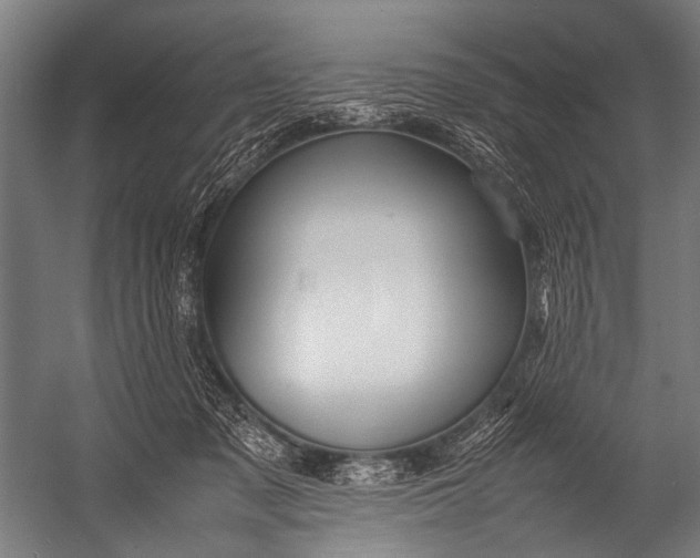 X0000052970317200507300144