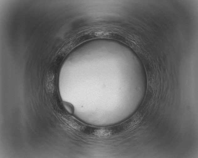 X0000052970319200507300144