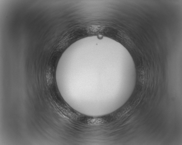 X0000052970324200507300144