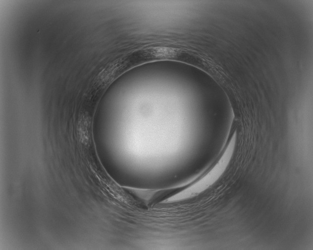 X0000052970325200507300144