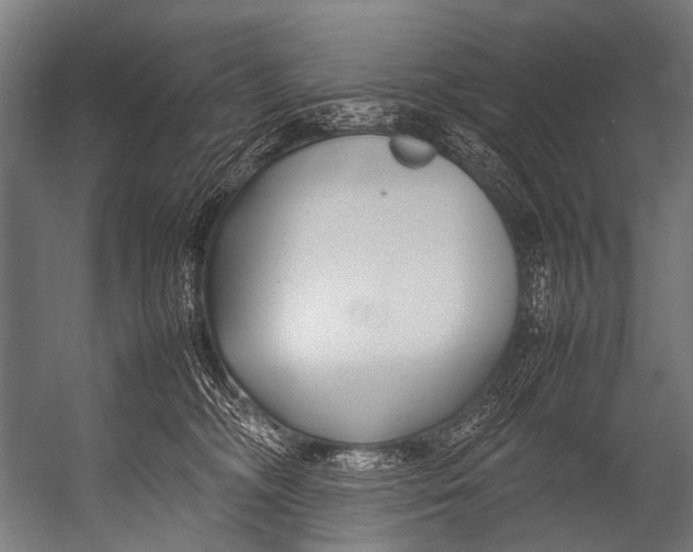 X0000052970326200507300144