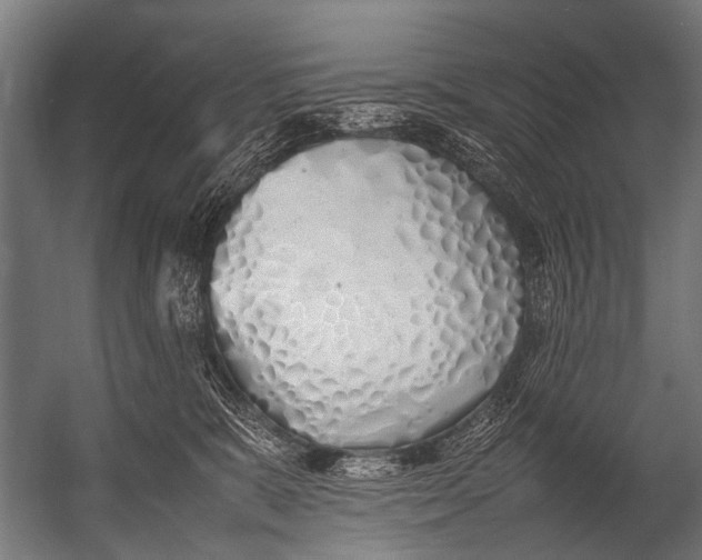 X0000052970327200507300144