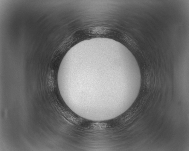 X0000052970328200507300144