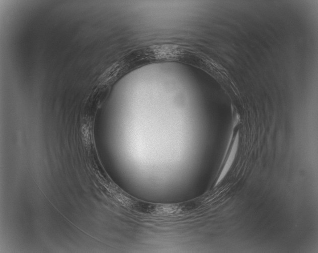 X0000052970329200507300144