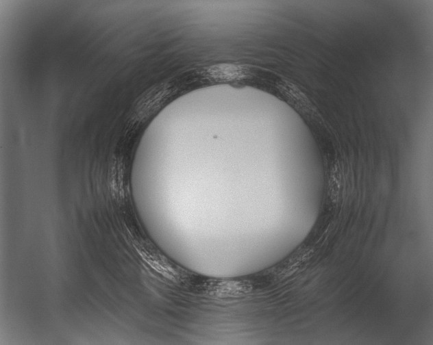 X0000052970330200507300144