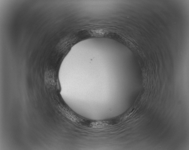 X0000052970331200507300144