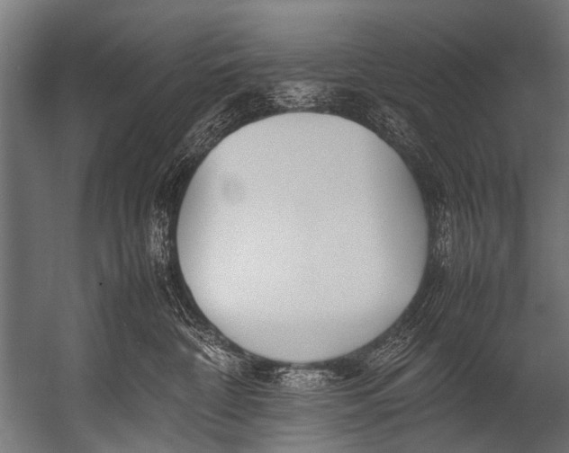 X0000052970332200507300144