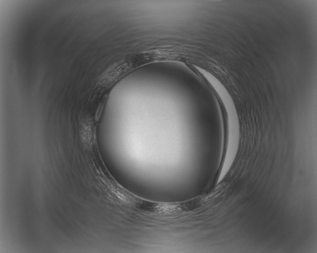 X0000052970333200507300144