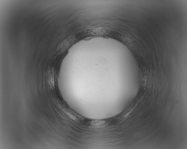 X0000052970334200507300144